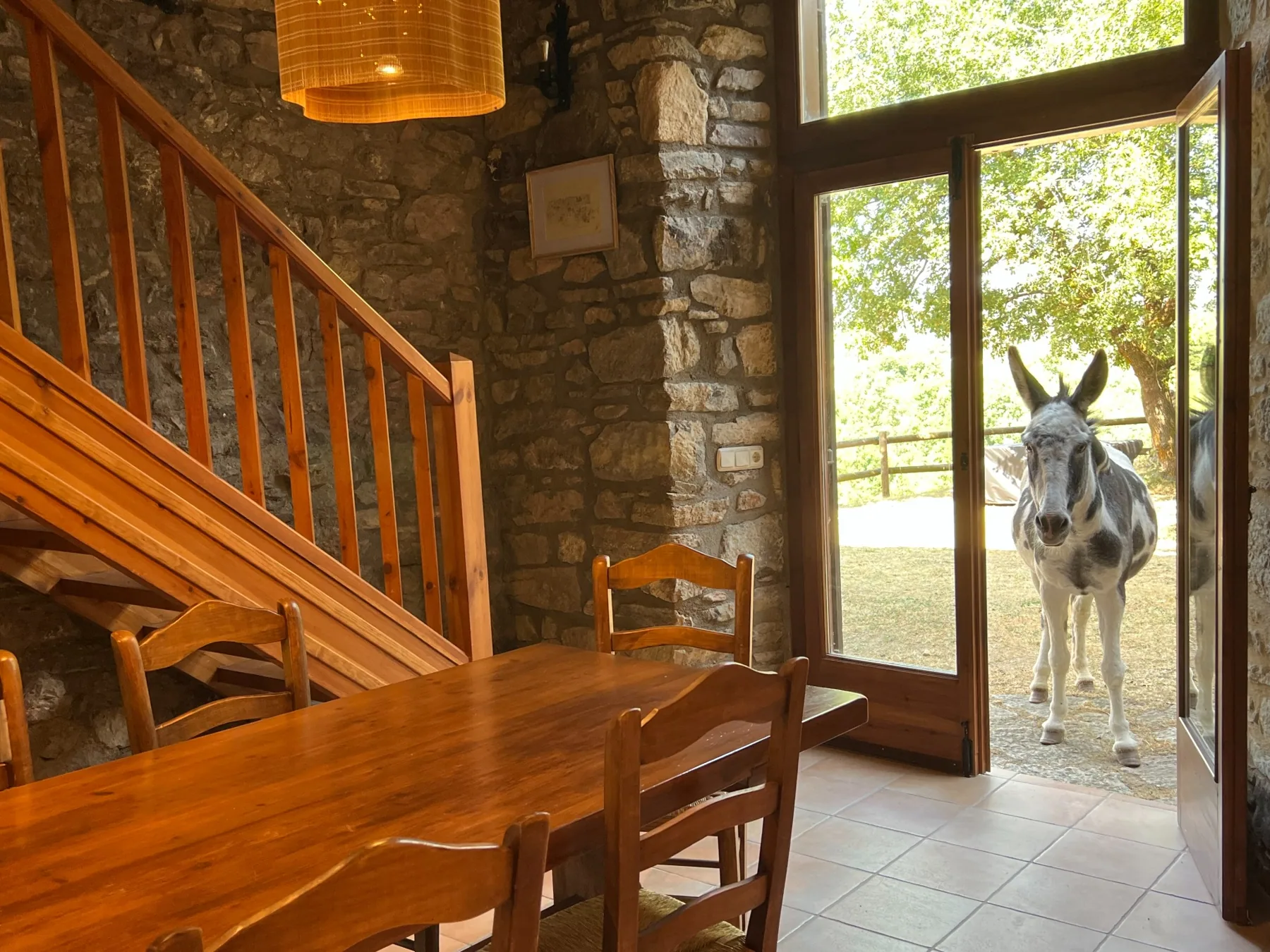 La Burreta Xica visita cada dia la casa de Cal Toni de Béixec